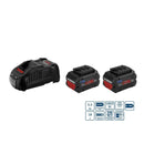Set-2-batterie-18v-5,5-Ah-con-stazione-di-ricarica-BOSCH-Tecnista